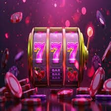23win66